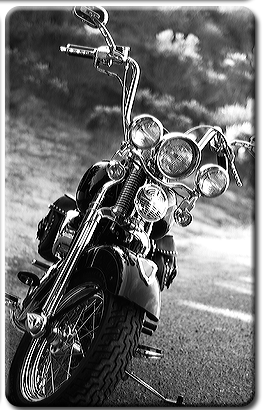 harley springer